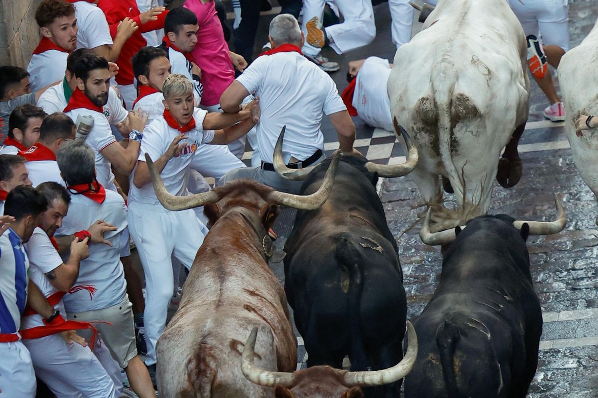 PAMPLONA, 13/07/2025.- Los mozos son perseguidos por toros de la ganadería gaditana de La Palmosilla s durante el séptimo encierro de los Sanfermines 2025 este domingo en Pamplona. EFE/Villar López