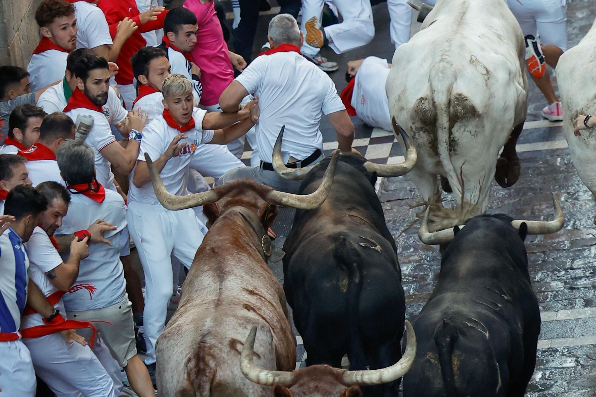 PAMPLONA, 13/07/2025.- Los mozos son perseguidos por toros de la ganadería gaditana de La Palmosilla s durante el séptimo encierro de los Sanfermines 2025 este domingo en Pamplona. EFE/Villar López