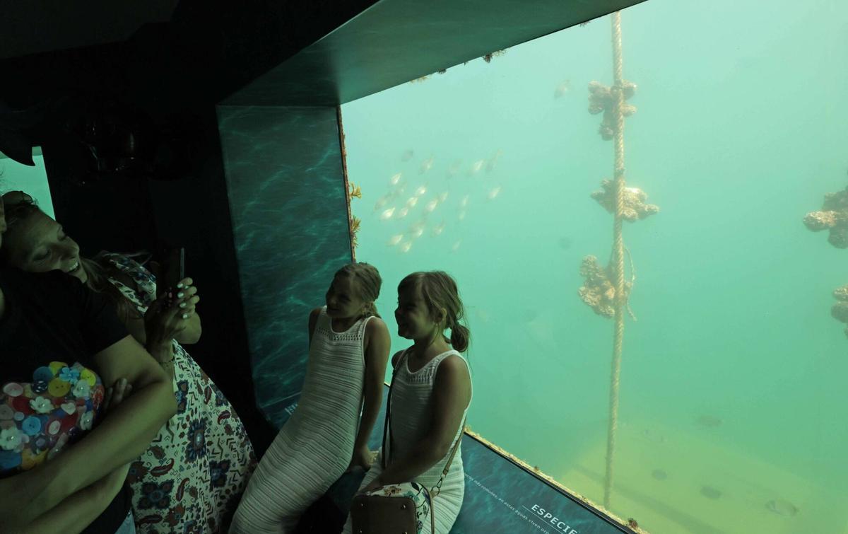 Abre «Atlántida», una ventana privilegiada para observar la riqueza de la ría de Vigo