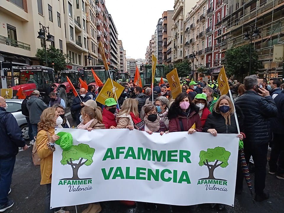 Protestas de los agricultores en las calles de València por la situación del campo