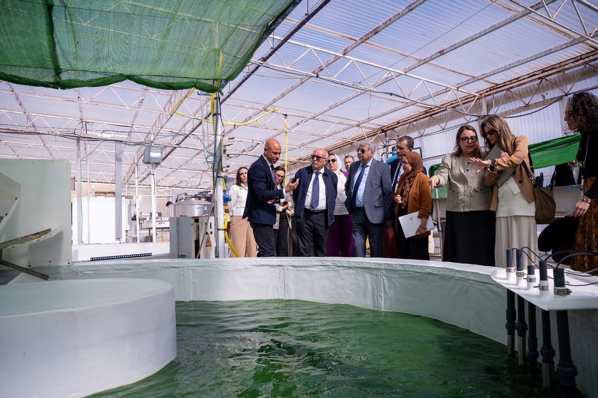 ITC 1