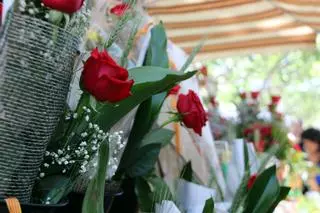 La Rambla de Figueres plena de llibres i roses en un Sant Jordi marcat pel vent