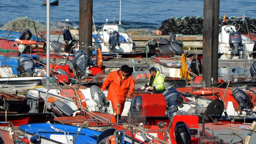 Marineros de la flota de bajura en un muelle arousano.  // Iñaki Abella