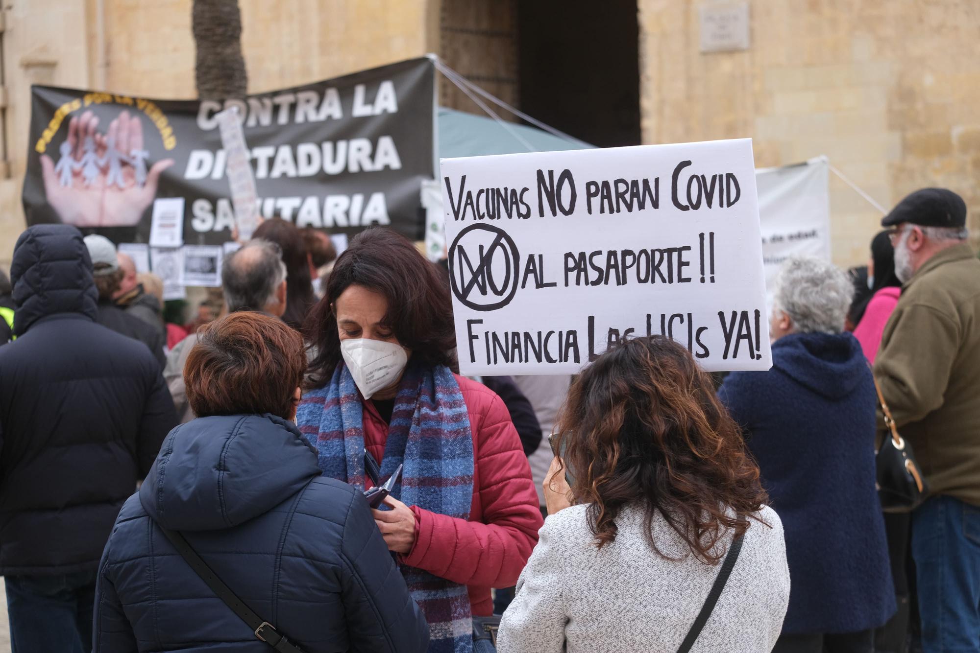 Concentración antivacunas en Elche contra el pasaporte covid y la inoculación de niños