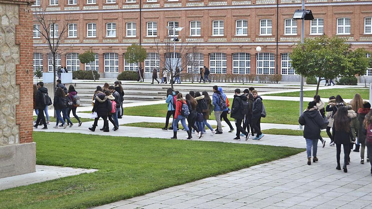 Estudiantes en el Campus Viriato. | LOZ