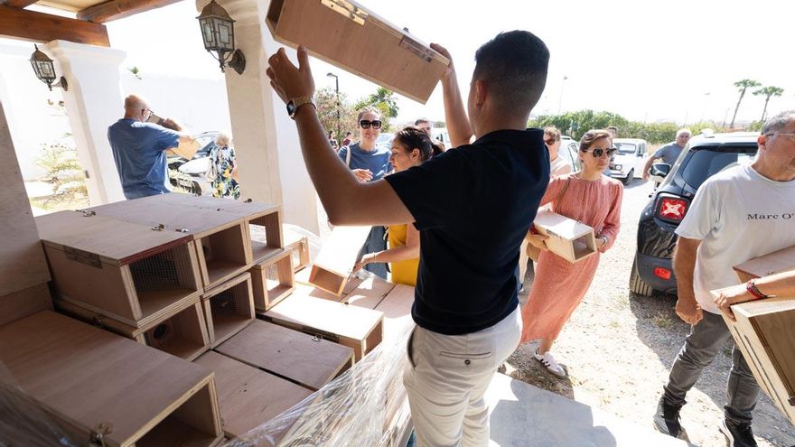 Galería: Reparto de trampas para serpientes en Can Tomeu