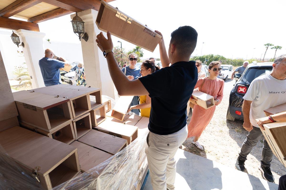 Guerra contra las serpientes en Ibiza
