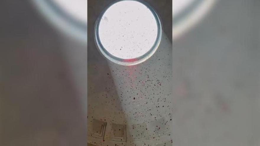 Así ha sido la lluvia de pétalos en el Panteón de Roma para celebrar Pentecostés