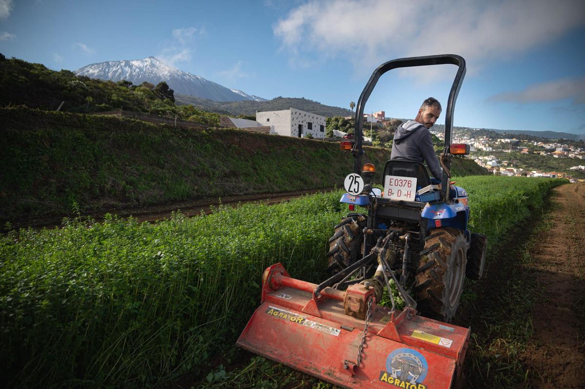 Manuel Reyes, presidente de la Cooperativa Las Medianías de San Juan de la Rambla