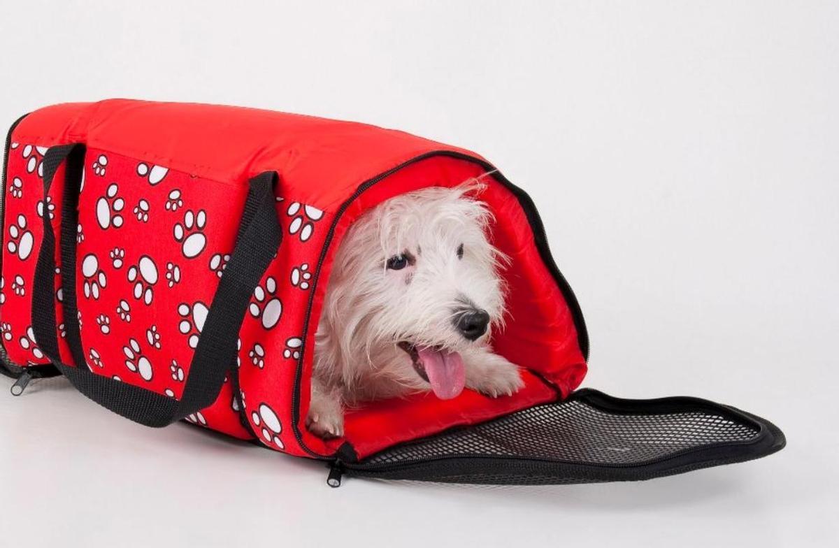 Un perro en un transporting en el aeropuerto.
