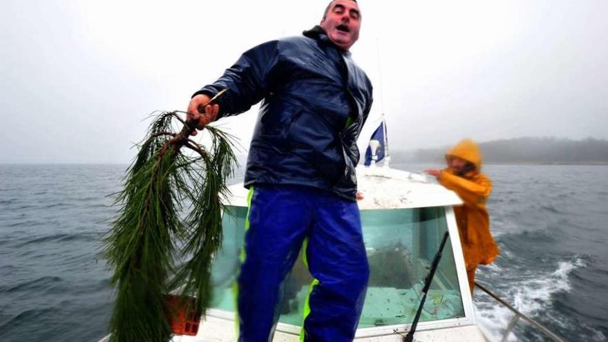 Un marinero de Cambados arroja una rama de pino al mar, el año pasado. // Iñaki Abella