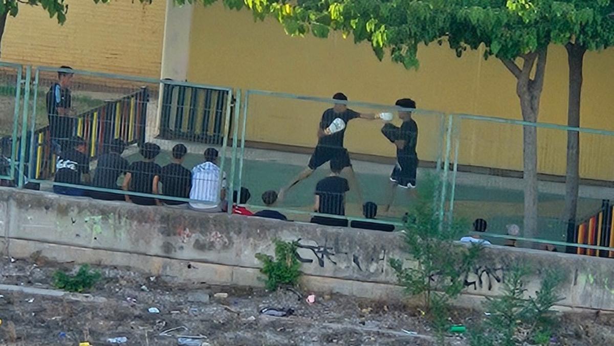 Pelea de boxeo con público en el patio del colegio Carles Salvador de Castelló.