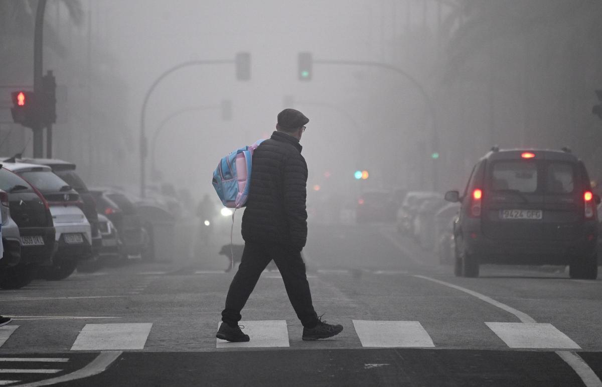 La niebla deja estampas invernales en la provincia de Alicante