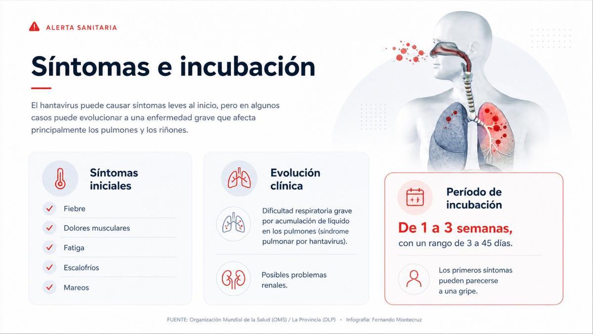 Síntomas e incubación del hantavirus.