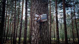 Canvi climàtic: sis passos per deixar una bona herència als teus fills