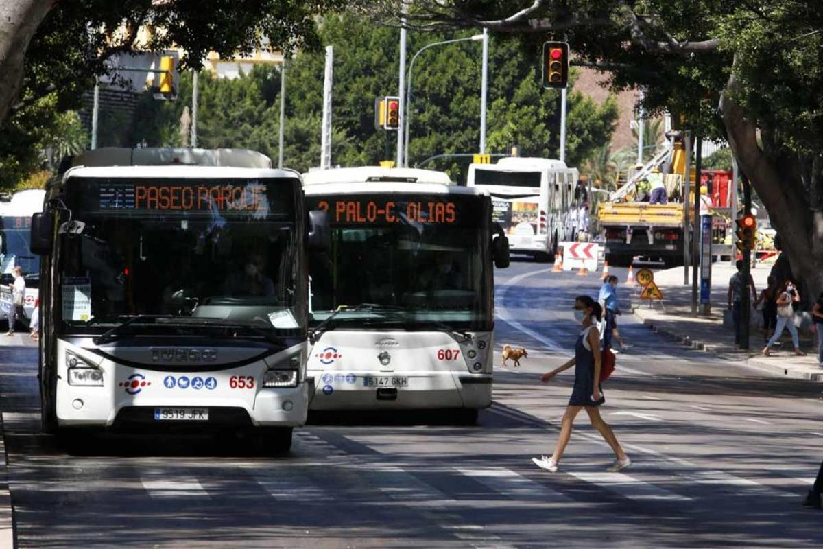 Autobuses de la Empresa Malagueña de Transportes, en una imagen de archivo.