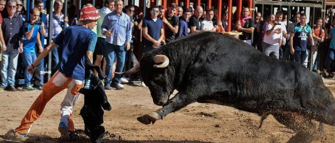 Imagen tomada durante los festejos taurinos de la Fira d&#039;Onda 2019.