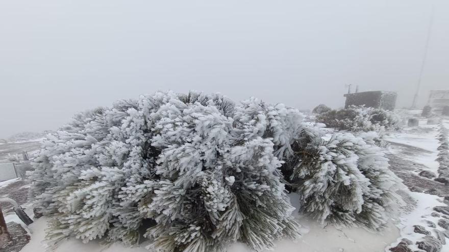 Borrasca Regina: Izaña, Tenerife