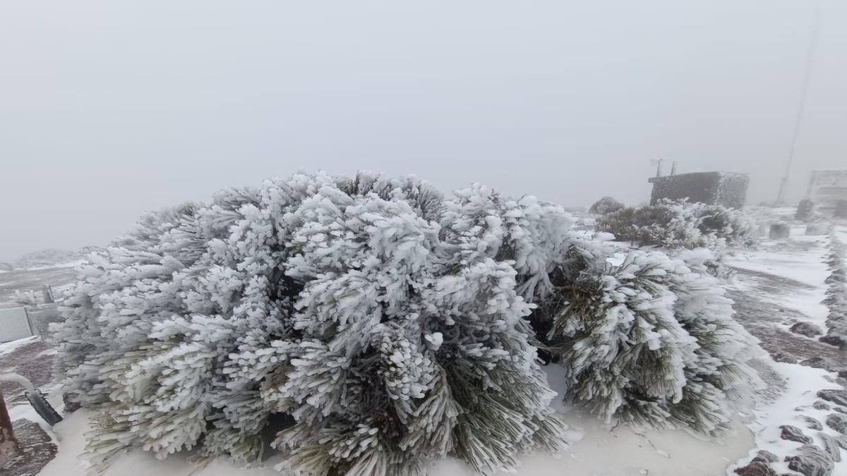 Borrasca Regina: Izaña, Tenerife