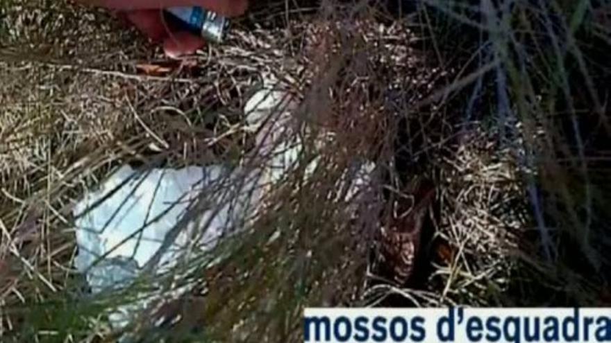 Detenidos dos menores por provocar ocho incendios en Girona