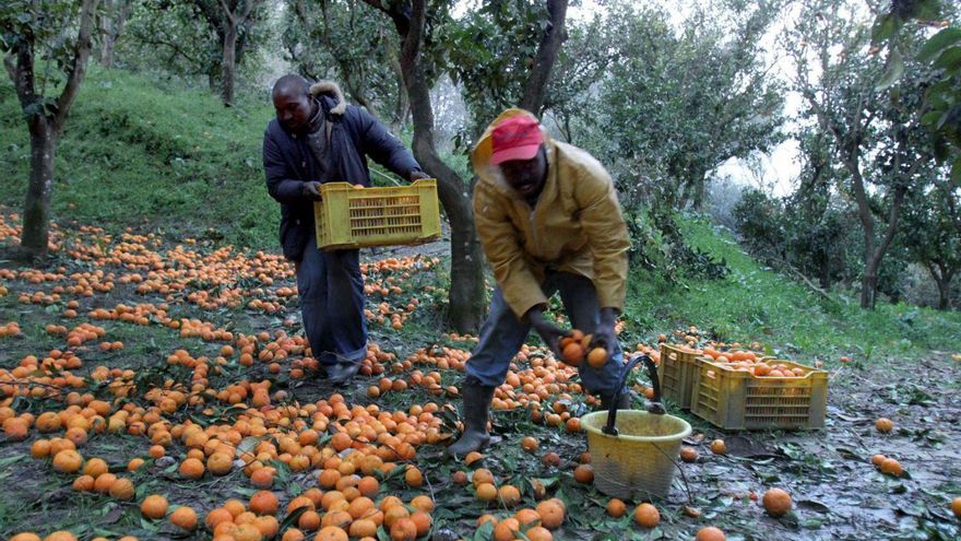 Las patronales se quedan sin tiempo para pedir jornaleros inmigrantes