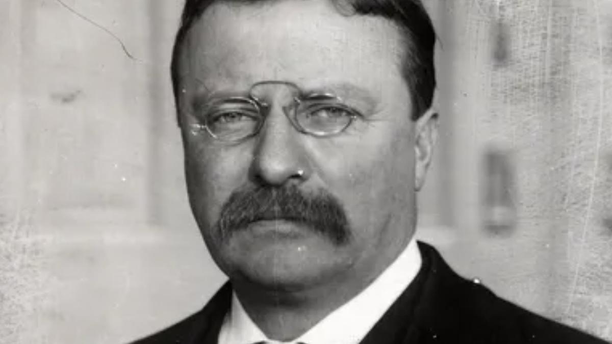 Theodore Roosevelt