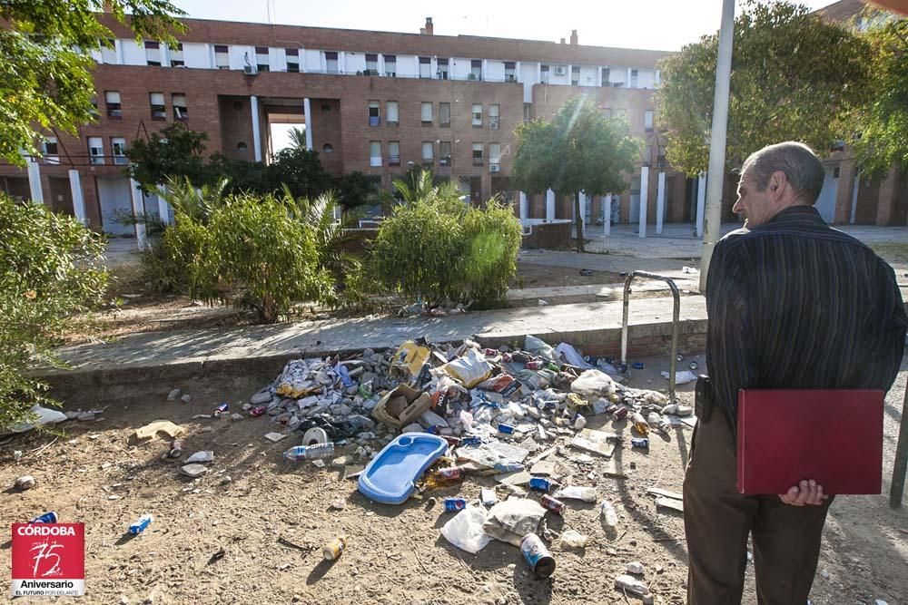 FOTOGALERÍA / La situación actual de las Palmeras