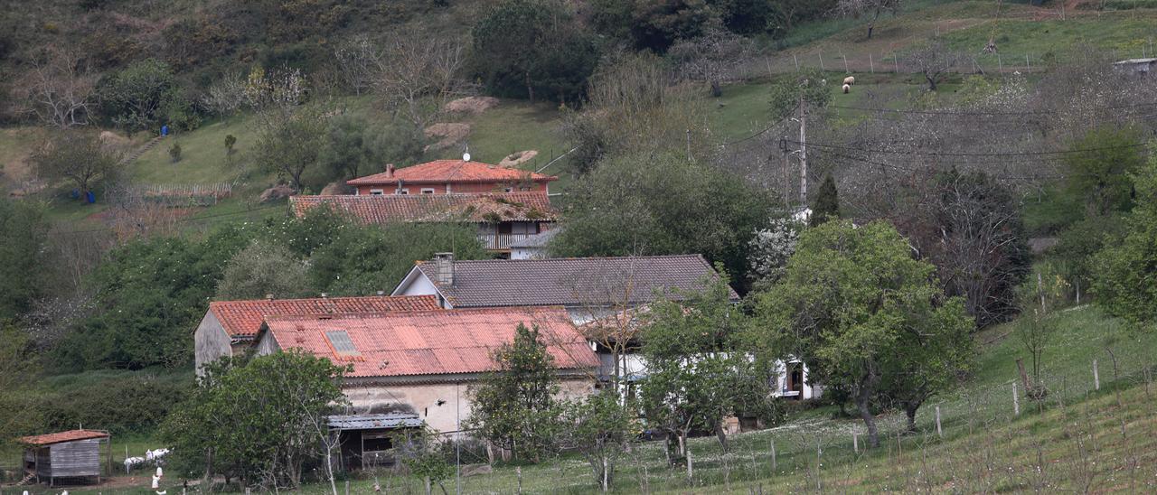 La finca de la parroquia de Vega donde tenían lugar los talleres.