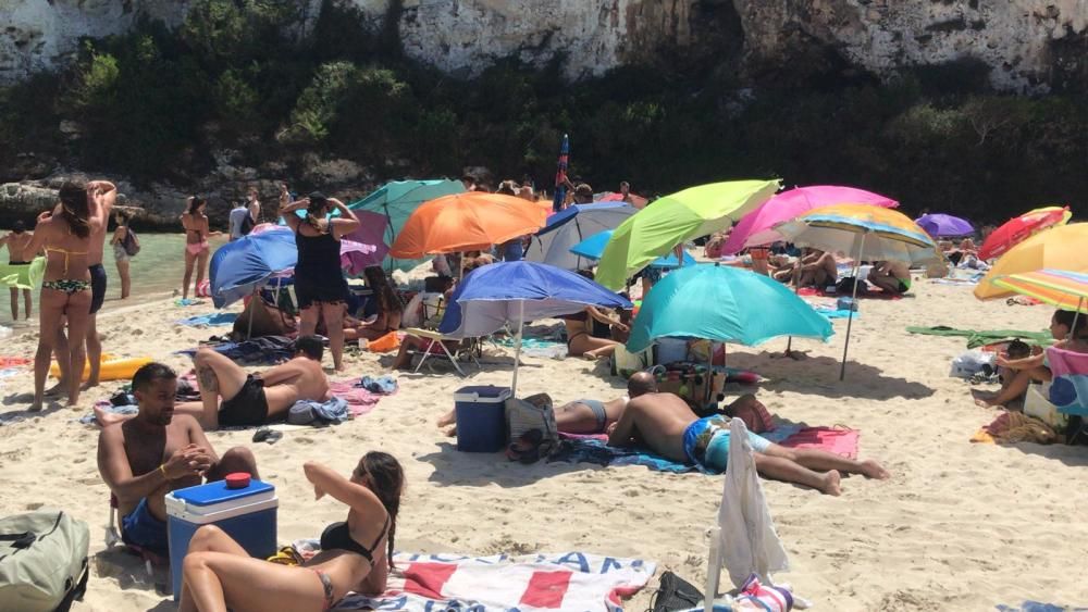 Saturación sin distancia de seguridad en Cala Llombards