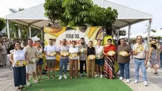 La Feria del Mango y el Aguacate de Mogán reúne a más de 10.000 personas y vende todo el producto disponible