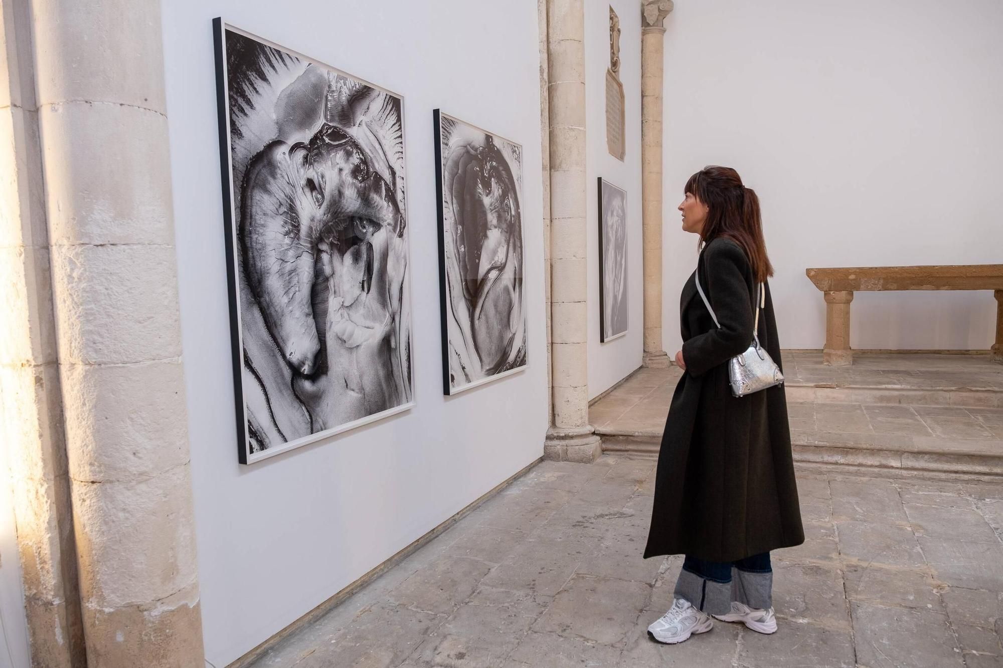 Art Palma Brunch 2025: Das Frühlings-Kunstevent auf Mallorca in Bildern