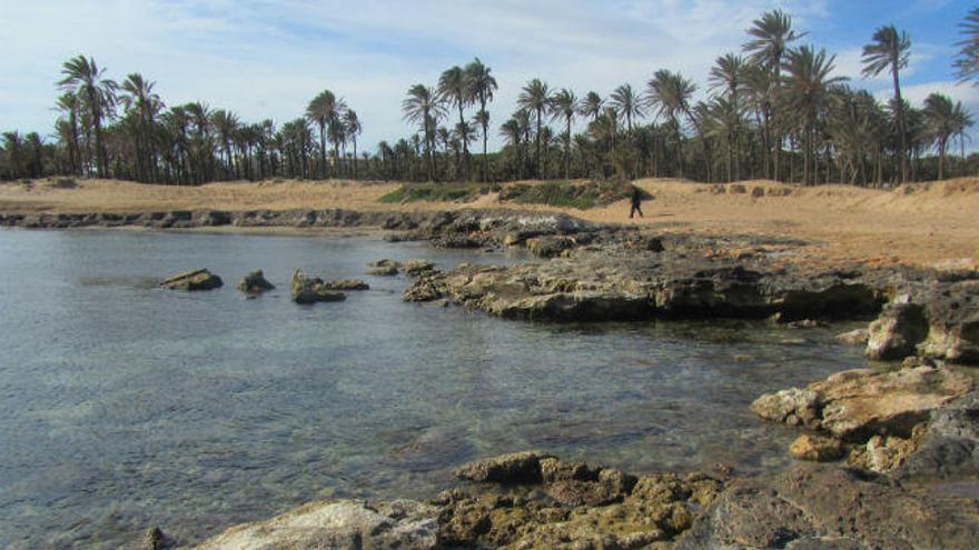 La cala Ferris en Torrevieja: un trocito de oasis a orillas del mar