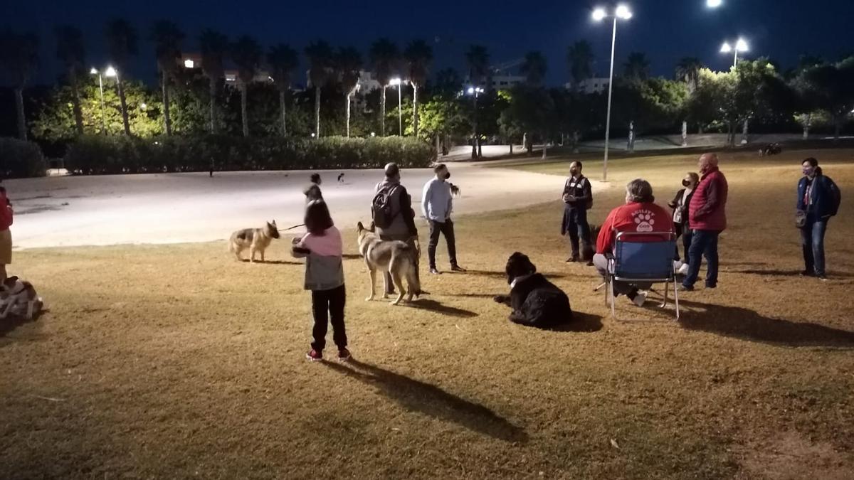 Imagen nocturna del parque canino Sergio Melgares