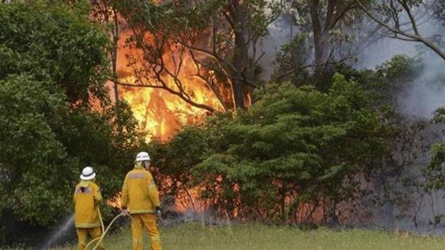 Un centenar de incendios forestales arrasan el sureste de Australia