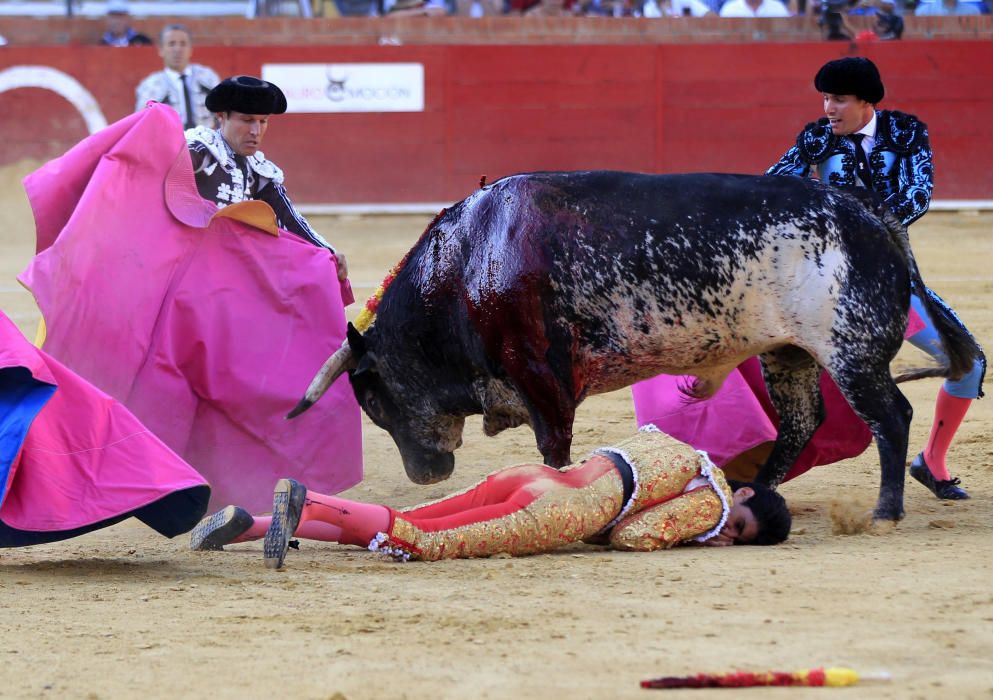 Fallece el torero Víctor Barrio al sufrir una ...