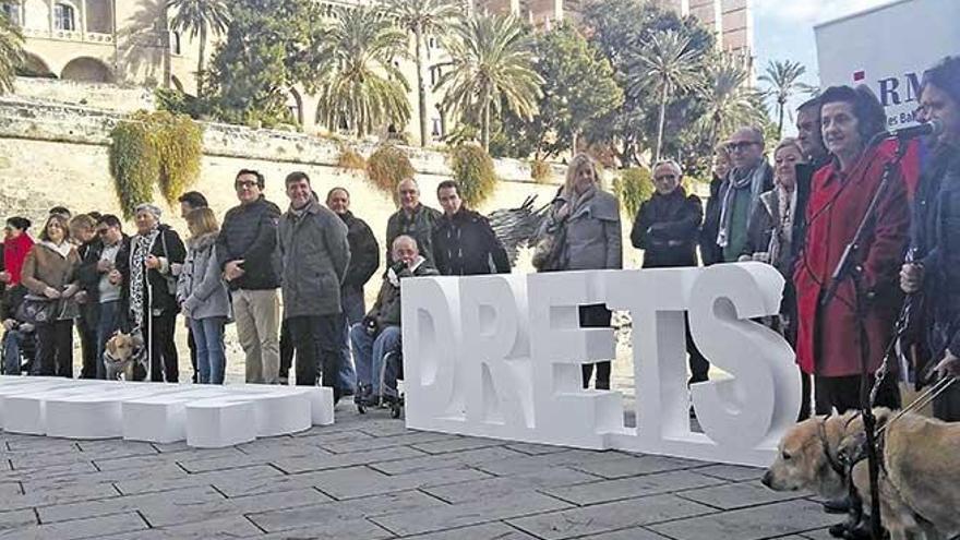 CERMI Balears organizó el acto ayer en el Parc de la Mar, en Palma.