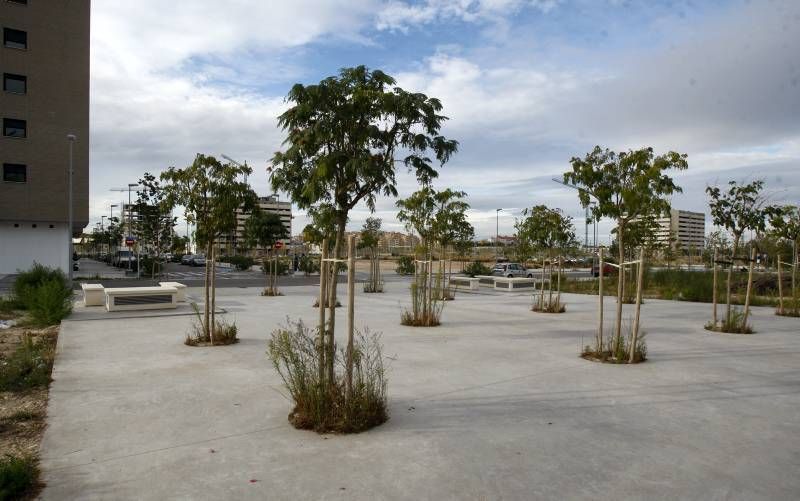 Fotogalería: Abandono de zonas verdes en Parque Venecia