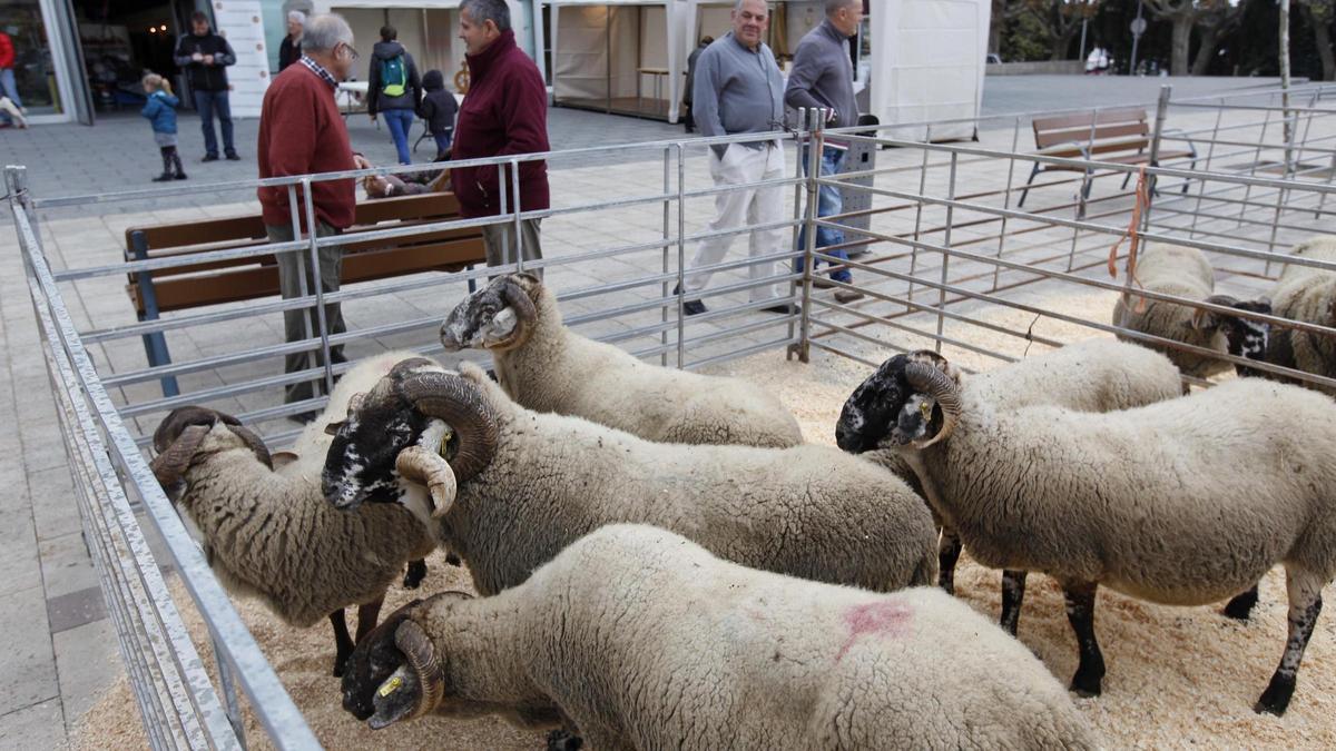 La Fira de Sant Andreu celebra una nova edició aquest cap de setmana