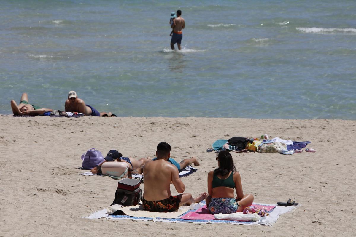 Urlaub auf Mallorca: So sieht es im Sommer 2024 an der Playa de Muro aus