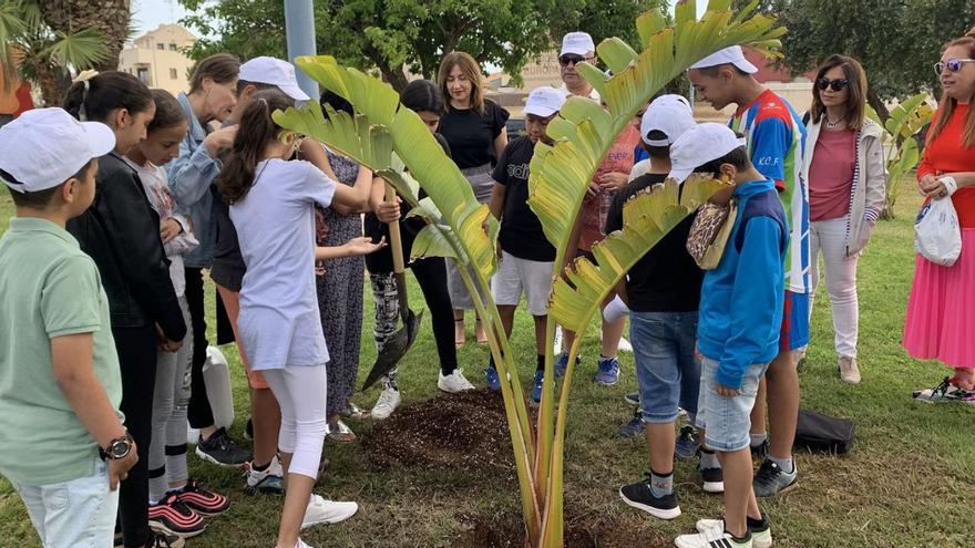 Alumnos del CEIP Severo Ochoa acuden a ‘Todos los 25 son 25N’