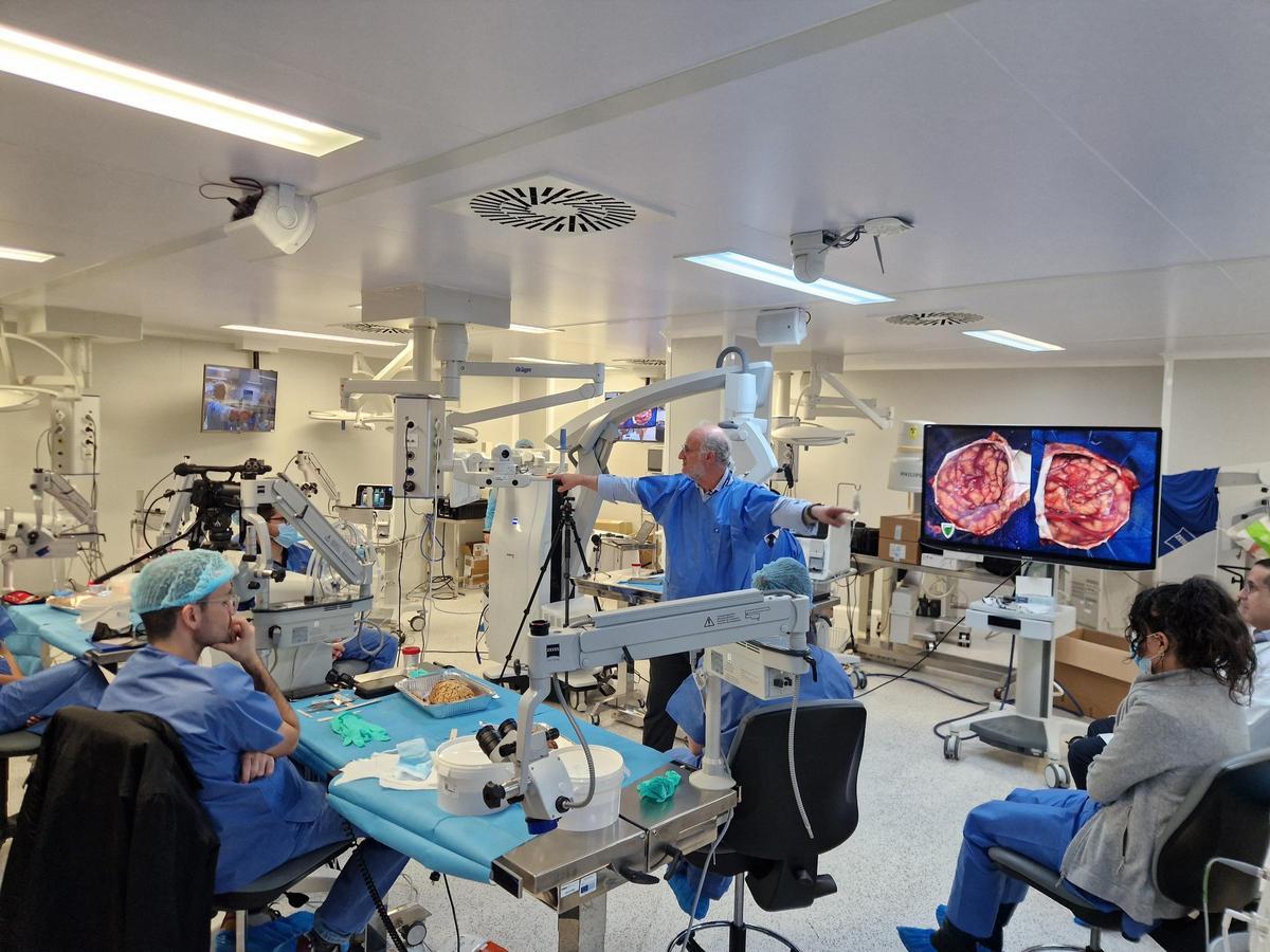 Especialistas en Neurocirugía del hospital Reina Sofía, durante su estancia formativa en Brasil.
