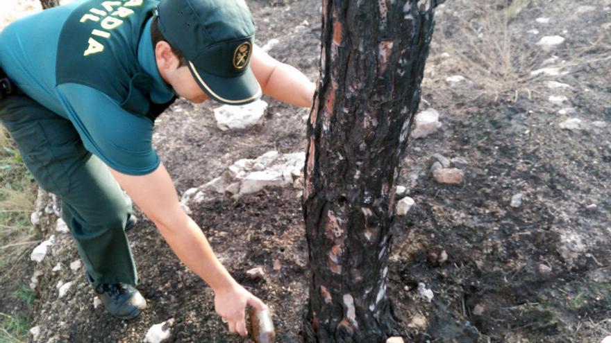 Tres menores detenidos como autores de siete incendios