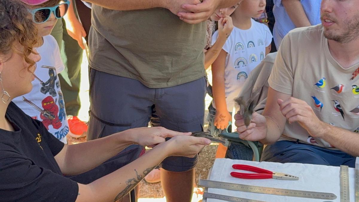 La Gran jornada lúdica del 10º aniversario del Parque La Marjal, en imágenes