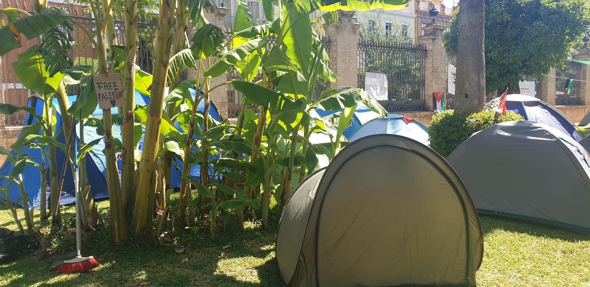 Acampada universitaria en apoyo al pueblo palestino en el Rectorado de la Universidad de Sevilla