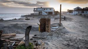 zentauroepp46058219 greenpeace181128153431