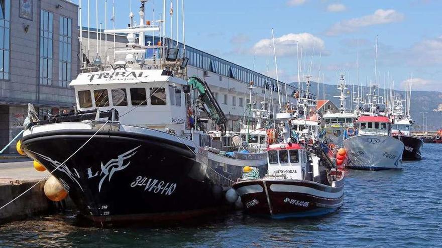 Cerqueros amarrados en el puerto de Vigo en una fotografía de archivo. // Marta G. Brea