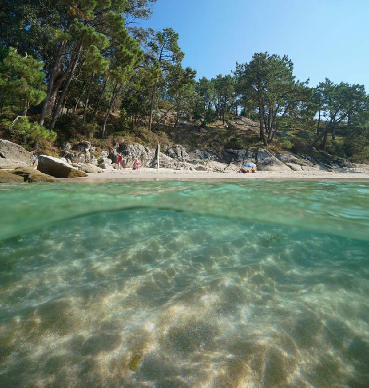 Caribe parece, Galicia es