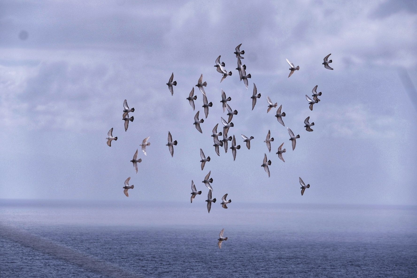 Estado de Valleseco, María Jiménez y El Rebolado en Santa Cruz de Tenerife