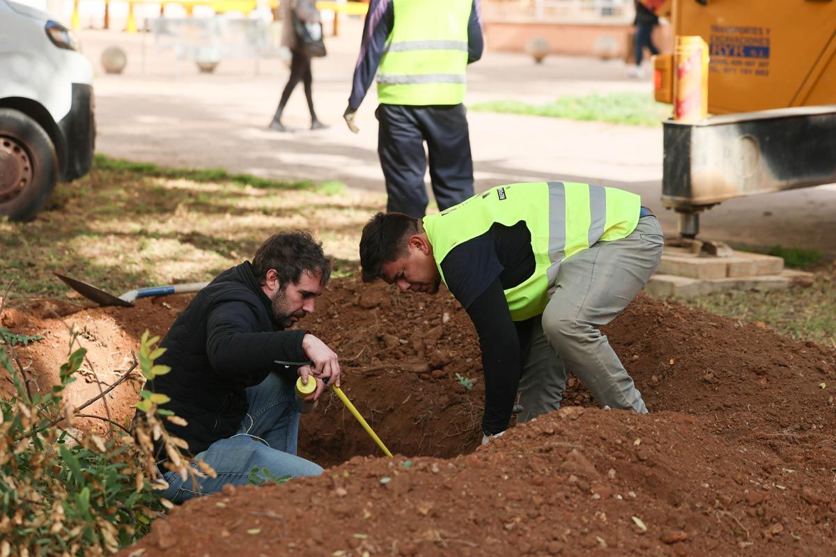 Galería: Todas las imagenes del traslado de la pagesa de Ibzia a su nueva ubicación