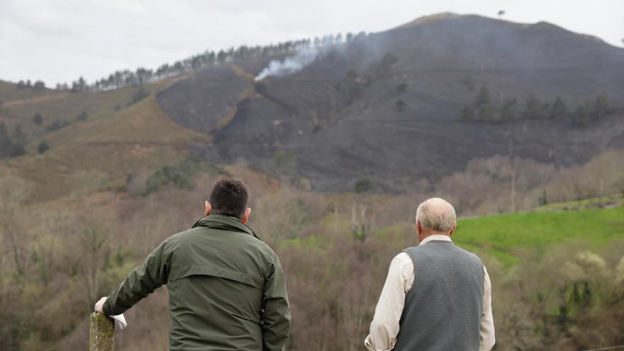 La lluvia ayuda a sofocar medio centenar de incendios en Asturias, mientras los vecinos reclaman medidas: &quot;El monte se cuida pastiando, no quemando&quot;